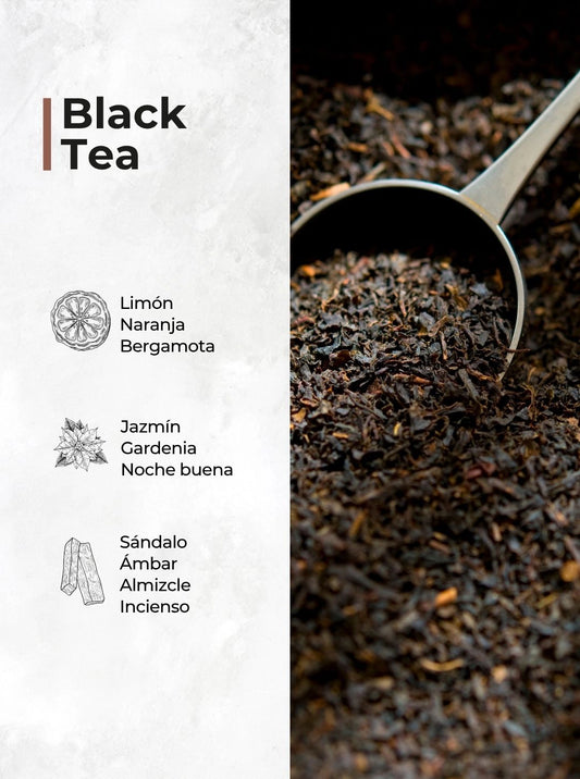 Aromatizador en Spray Té Negro | Black Tea – Set de 2 unidades