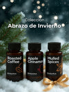 Colección Abrazo de Invierno - Aromas para difusores
