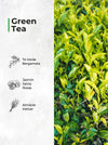 Green Tea – Perfume de Interior en Spray 250ml