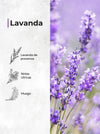 Lavanda – Perfume de Interior en Spray