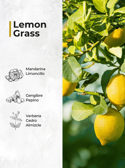 Lemon Grass – Perfume de Interior en Spray