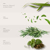 Crisp Breeze - Fragancia para Difusor Profesional