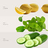 Mint Energy - Fragancia Para Difusores Profesionales