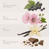 Vanilla - Fragancia para Difusores Profesionales