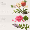Verbena Tea - Fragancia Para Difusores Profesionales
