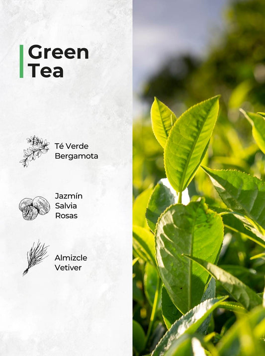 Aromatizador en Spray Té Verde | Green Tea – Set de 2 unidades