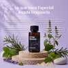 Crisp Breeze - Fragancia para Difusor Profesional