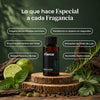 Fierce (Inspirado en: Abercrombie & Fitch) - Aroma Para Difusores Profesionales
