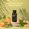 Lemongrass Ginger - Fragancia Para Difusores