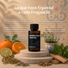 Mediterranean Journey - Fragancia para Difusores