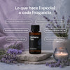 Verbena Tea - Fragancia Para Difusores Profesionales
