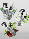 Flash Sale - Apollo Blanco Fragancia y Room Spray