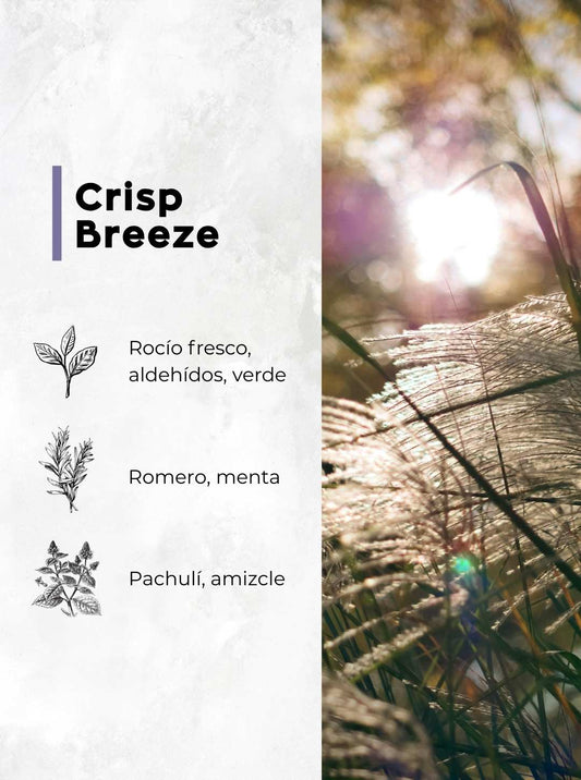 Crisp Breeze - Fragancia para Difusor Profesional