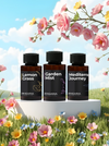 Spring Collection - Aromas para Difusores