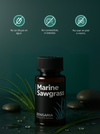 Marine Sawgrass - Aroma Para Difusores Profesionales