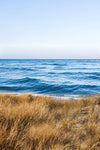Marine Sawgrass - Aroma Para Difusores Profesionales
