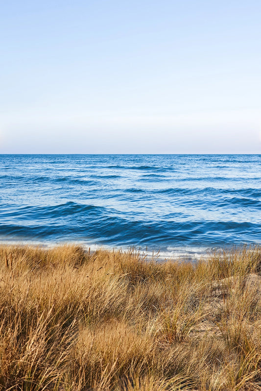 Marine Sawgrass - Aroma Para Difusores Profesionales