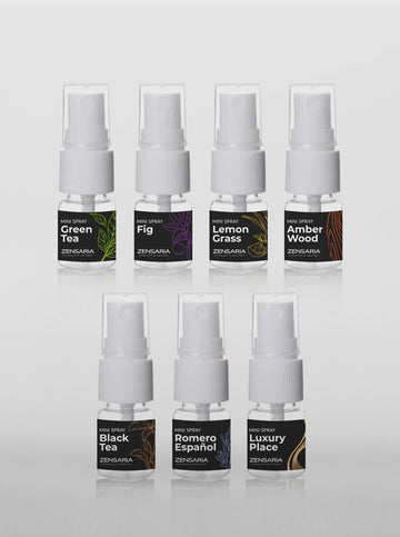 Mini Spray Pack
