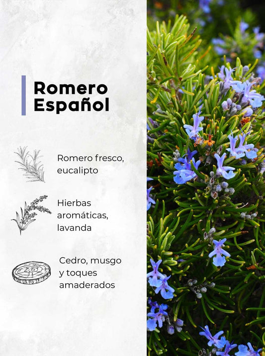Romero Español - Aroma Para Difusores Profesionales