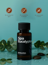 Spa Eucalyptus - Aroma para Difusores de Profesionales