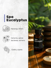 Spa Eucalyptus - Aroma para Difusores de Profesionales