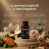 Versalles (Inspirado en: Palacio de Hierro)