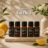 Colección Cítrica - Muestras de Fragancias